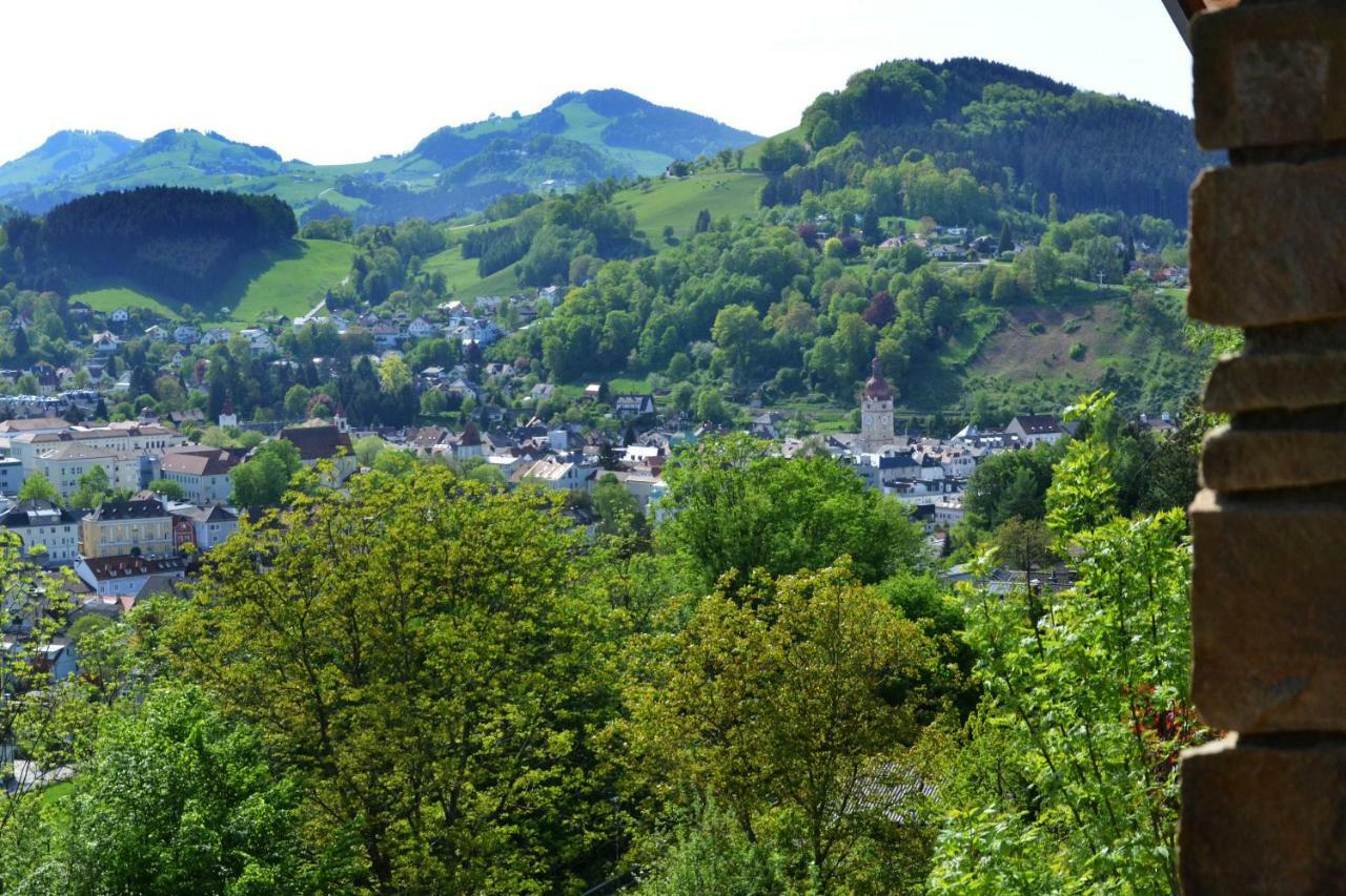 Appartement Kohlnberger ไวด์โฮเฟิน อัน แดร์อิบส์ ภายนอก รูปภาพ