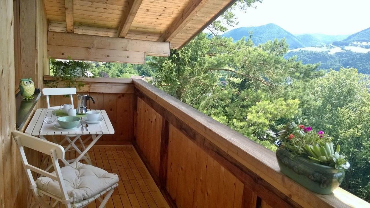 Appartement Kohlnberger ไวด์โฮเฟิน อัน แดร์อิบส์ ภายนอก รูปภาพ