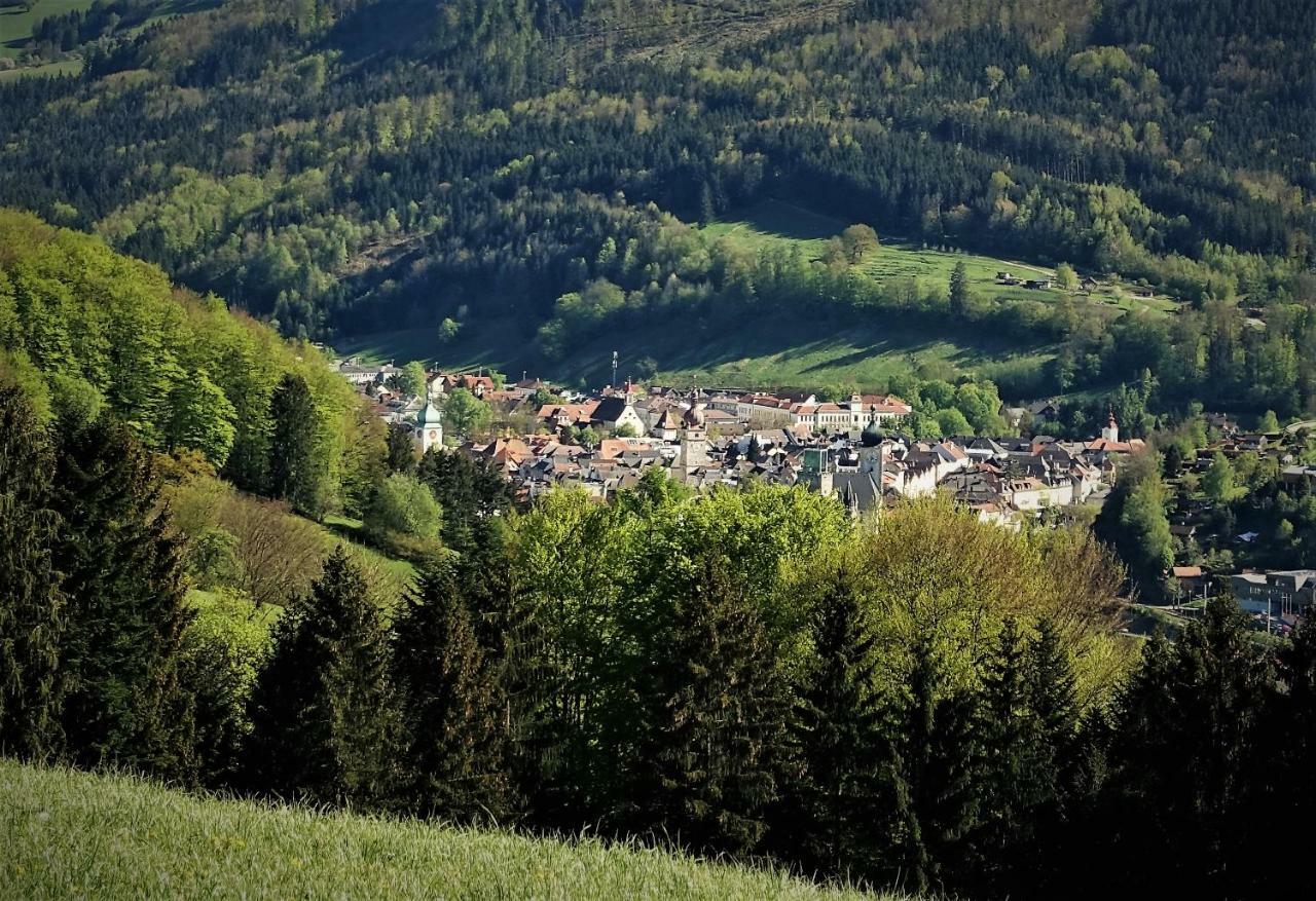 Appartement Kohlnberger ไวด์โฮเฟิน อัน แดร์อิบส์ ภายนอก รูปภาพ