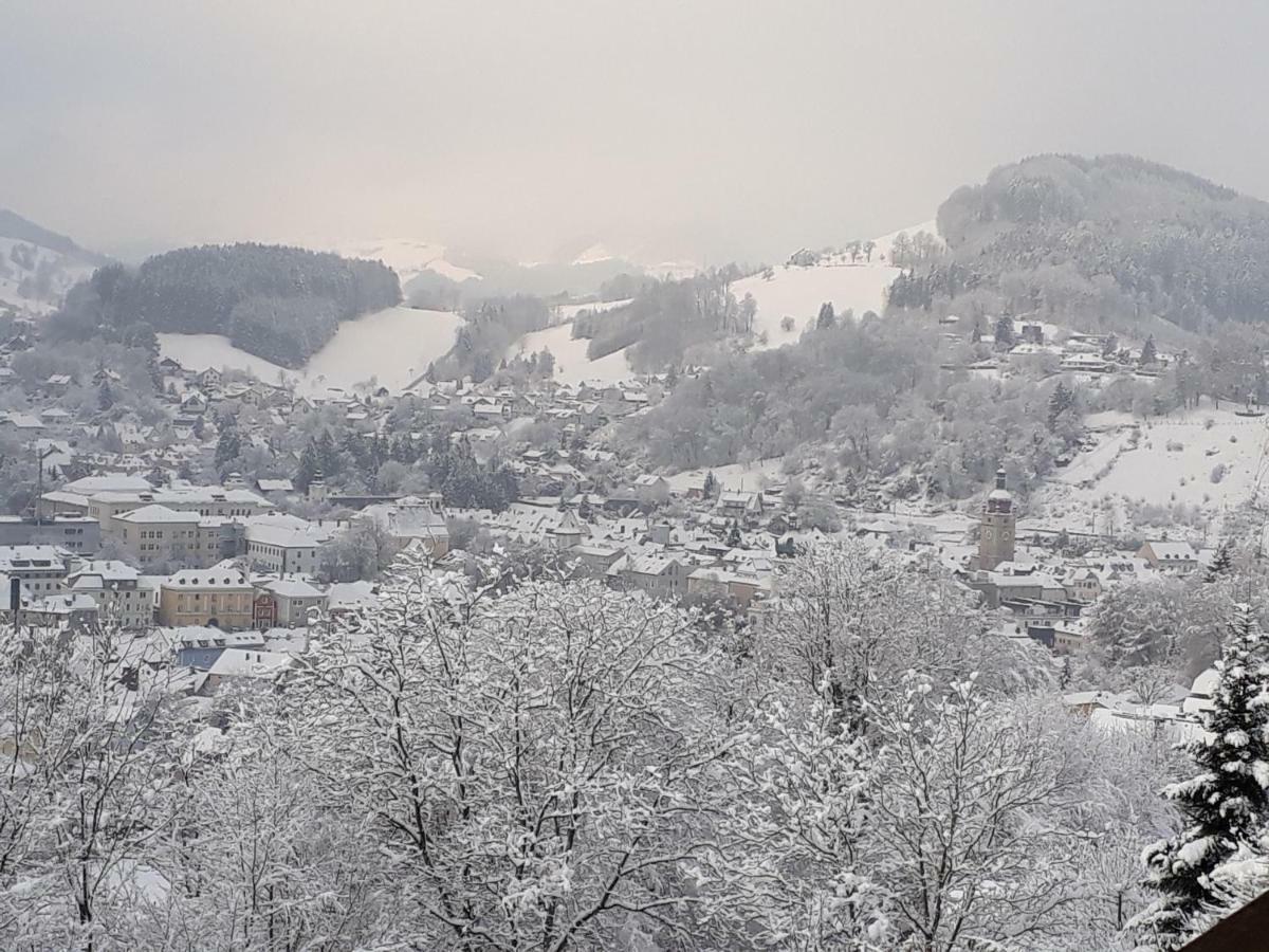 Appartement Kohlnberger ไวด์โฮเฟิน อัน แดร์อิบส์ ภายนอก รูปภาพ