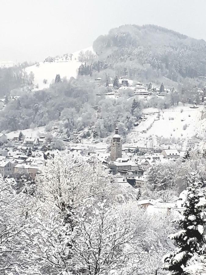 Appartement Kohlnberger ไวด์โฮเฟิน อัน แดร์อิบส์ ภายนอก รูปภาพ